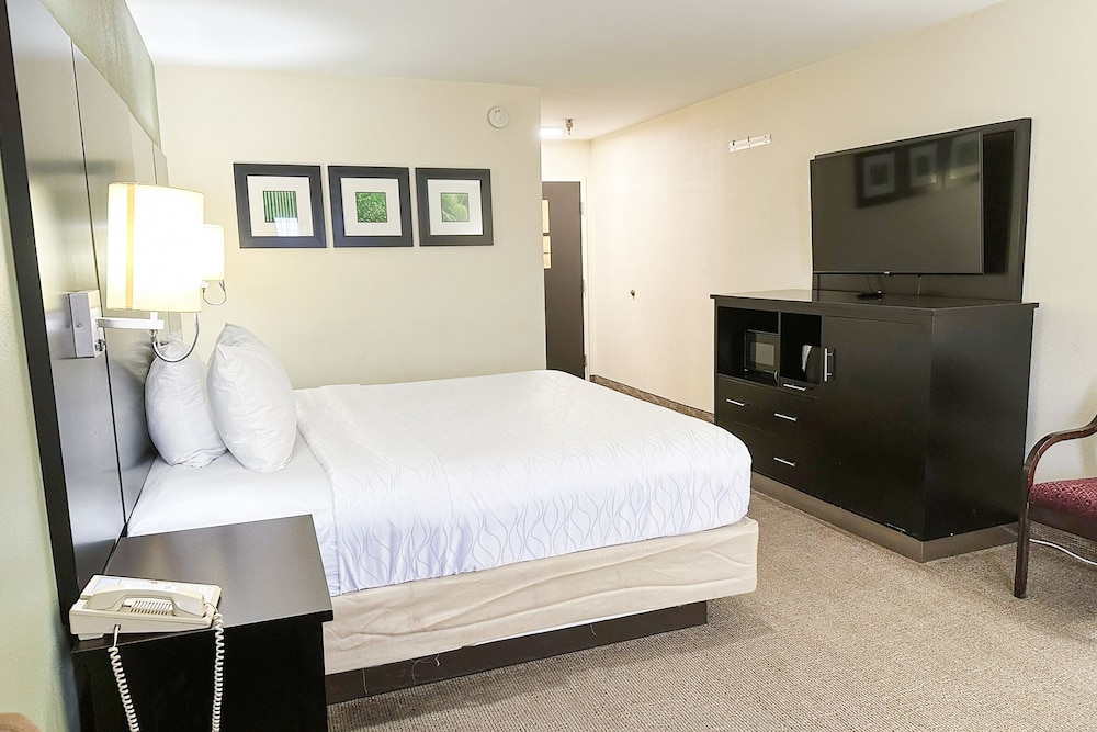 Oyo Hotel Rome West Ga - photo 14