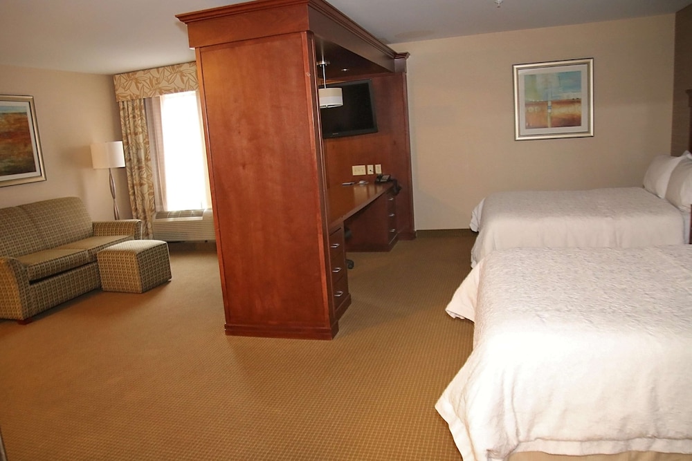 Hampton Inn Detroit Auburn Hills North - photo 16