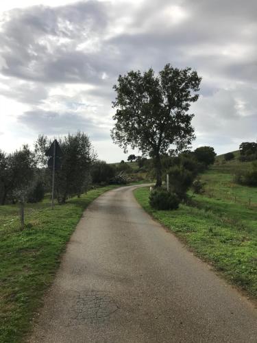 Podere Pini — Magliano In Toscana