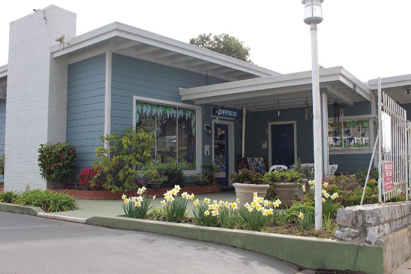 Edgewater Beach Inn & Suites - photo 2