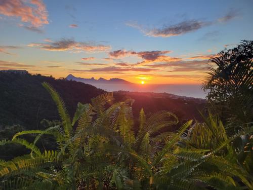 Fare Bungalow — 4-Star Luxury Hotel in Papeete, French Polynesia