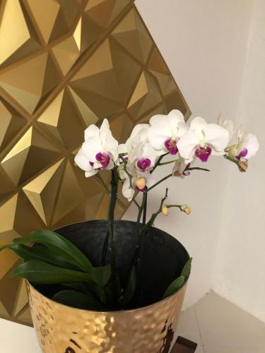 Hotel Orquídea in Zacatlan, Mexico