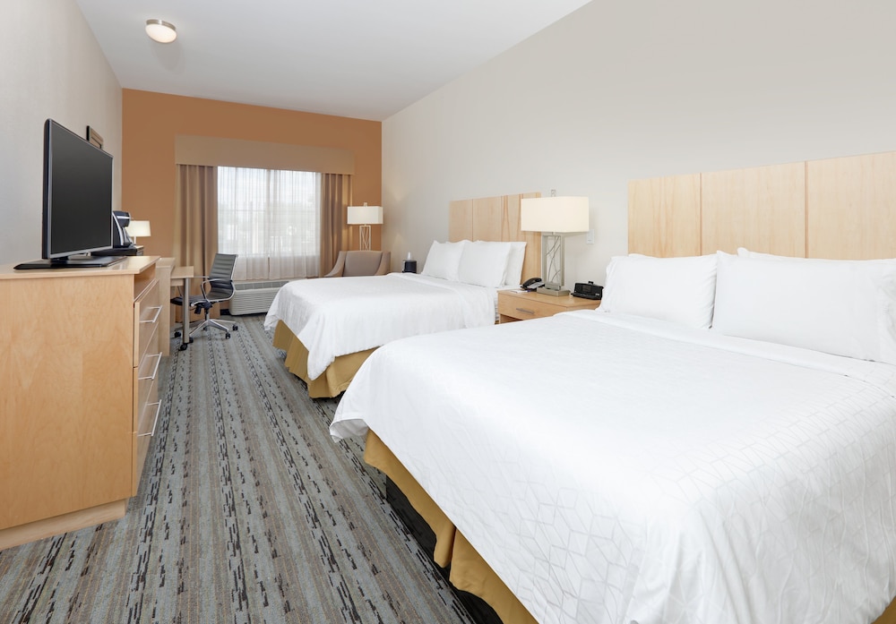 Holiday Inn Express & Suites San Antonio Brooks City Base by IHG - photo 7