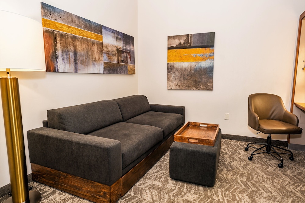 SpringHill Suites by Marriott San Antonio Alamo Plaza Convention Center - photo 5