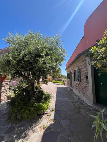 Casa Vista Castello — 4-Star Luxury Hotel in Capraia Isola, Italy