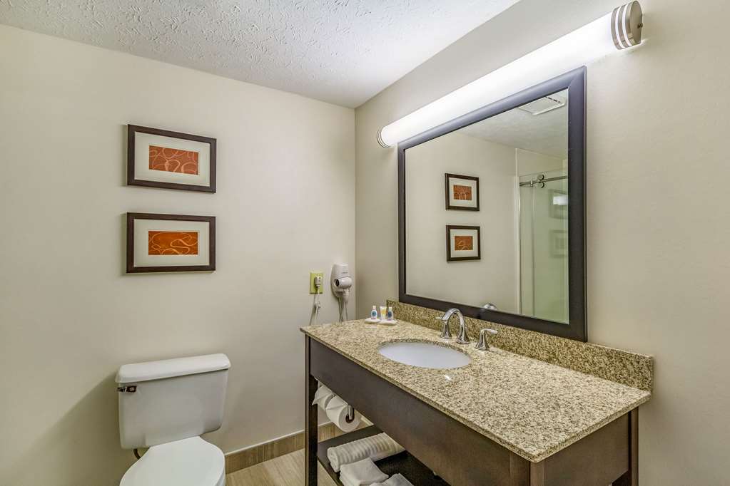 Comfort Inn Independence Cleveland - photo 22