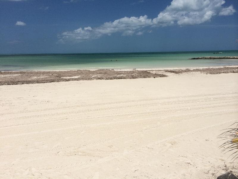 Rhincodon Typus Glamping — Isla Holbox — photo 3