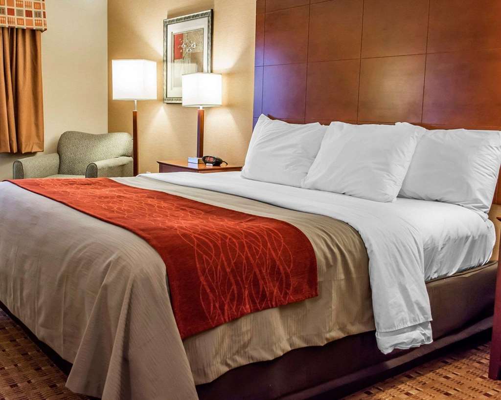Comfort Inn & Suites Franklin East - photo 26