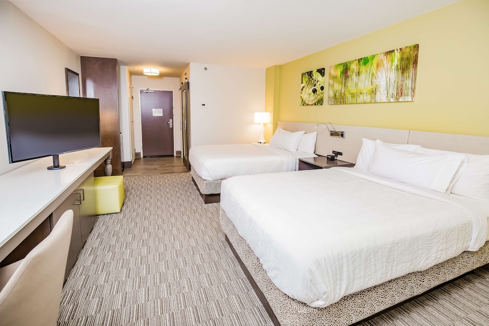 Hilton Garden Inn Orange Beach Beachfront - photo 34