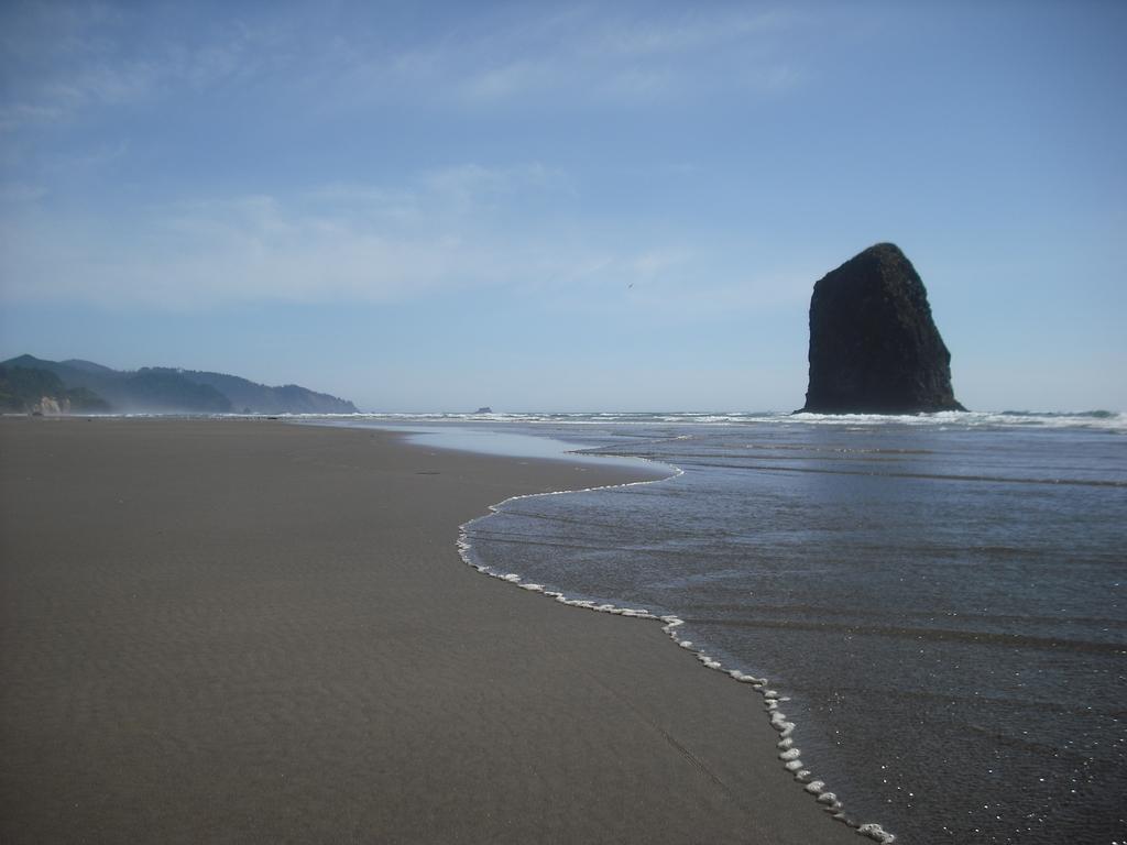 Grey Whale Inn - photo 7