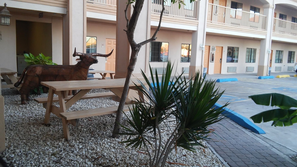 Casa Rosa Inn - photo 31