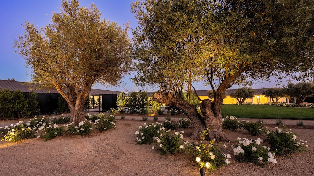 Hotel Bayit - photo 23