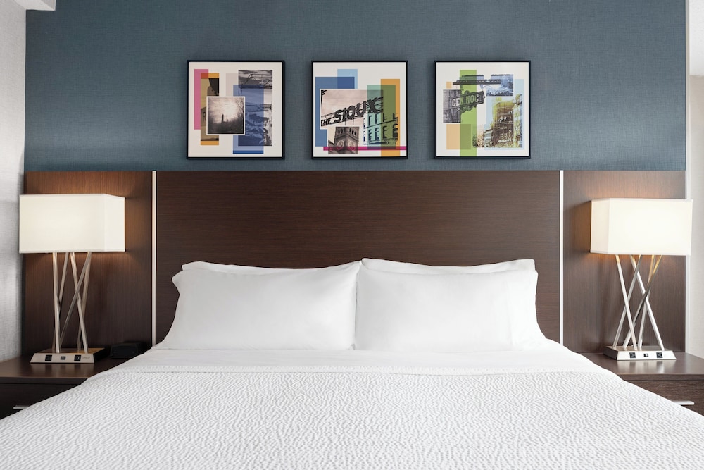 Holiday Inn Sioux Falls City Centre by IHG - photo 6