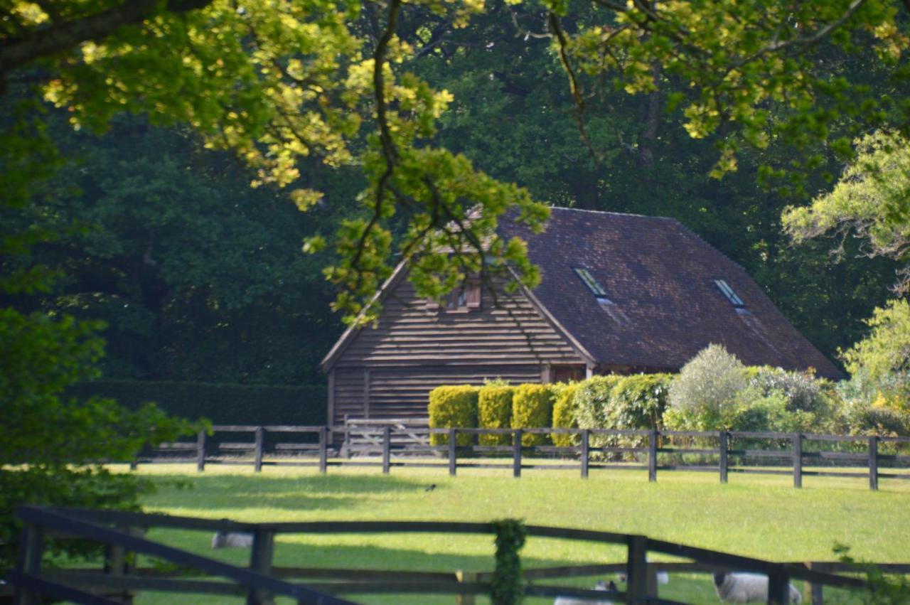 The Hideaway South Downs National Park — Petworth — photo 2