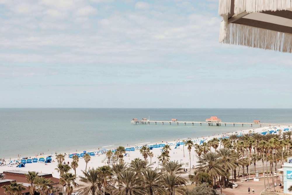 The Hiatus Clearwater Beach Curio Collection By Hilton - photo 114