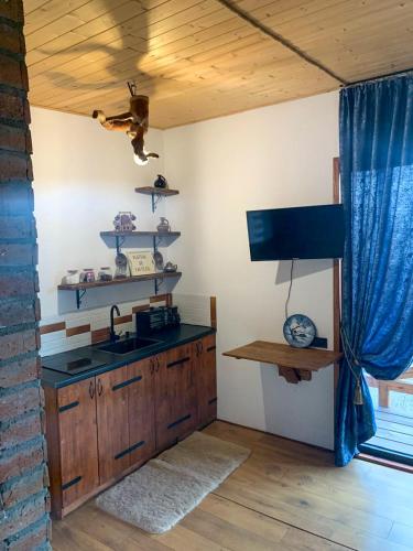 Villa Vejini cabin