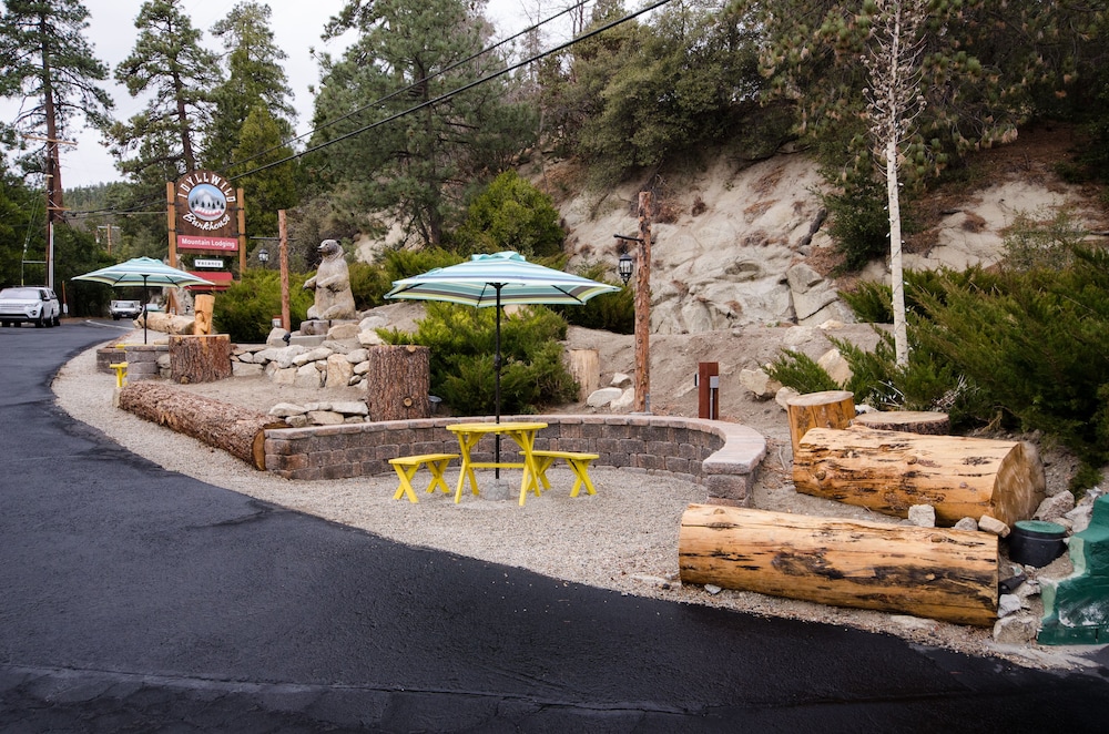 Idyllwild Bunkhouse - photo 40