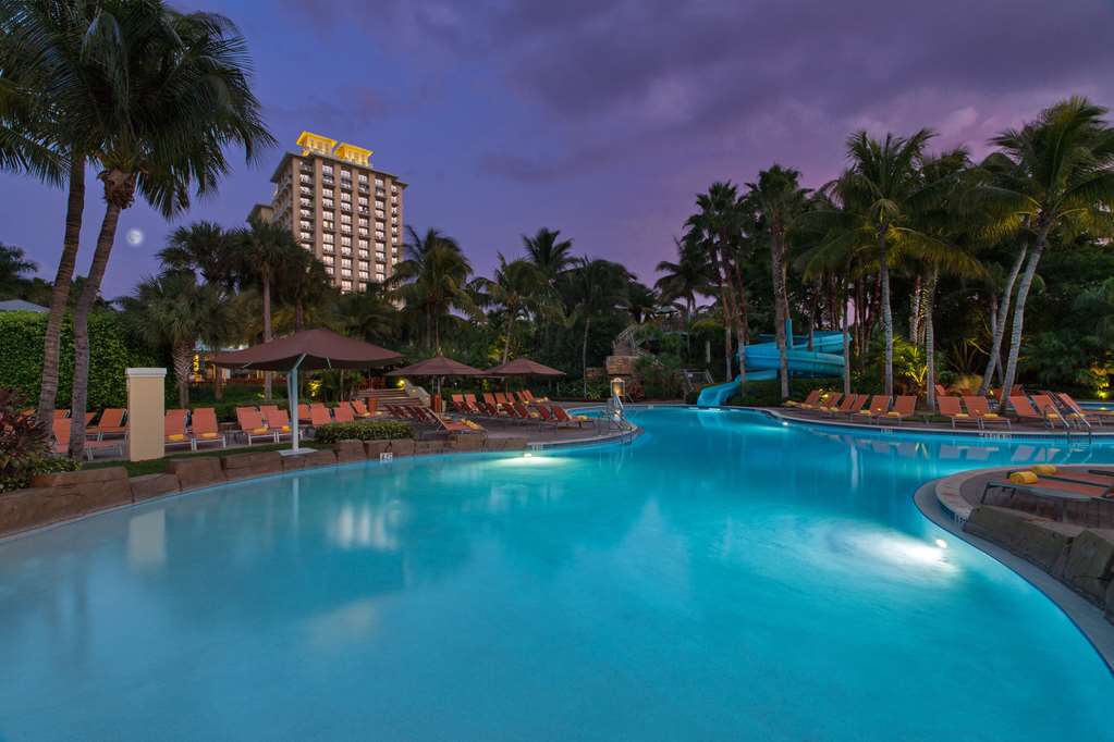 Hyatt Regency Coconut Point Resort & Spa - photo 17
