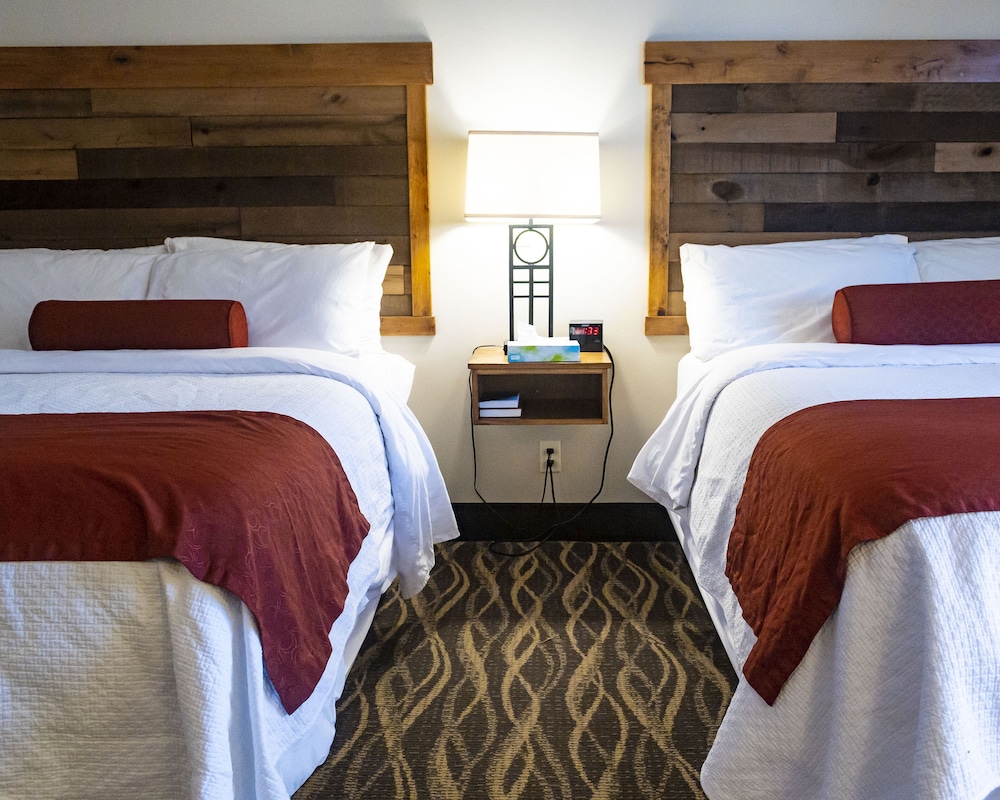 Sawtelle Mountain Resort - photo 10