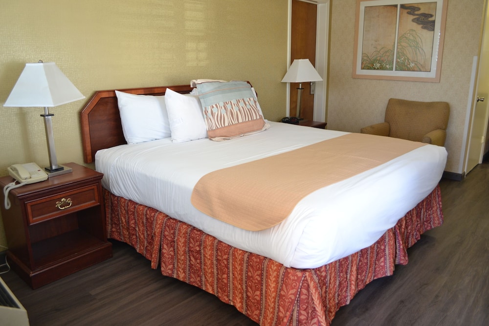 Valley Inn San Jose - photo 11