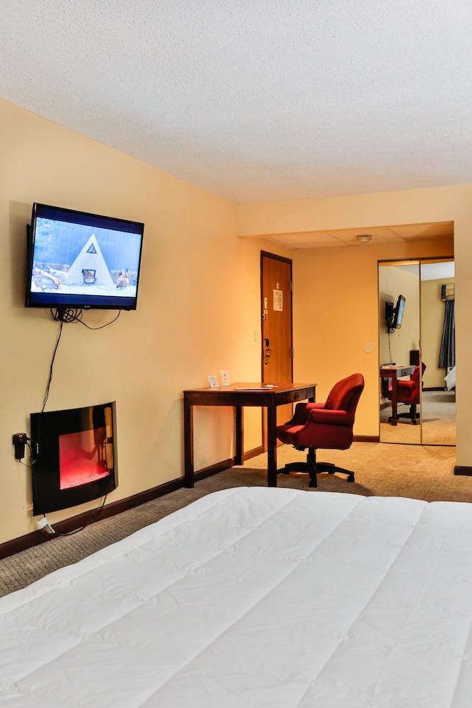 The View Inn & Suites - photo 11