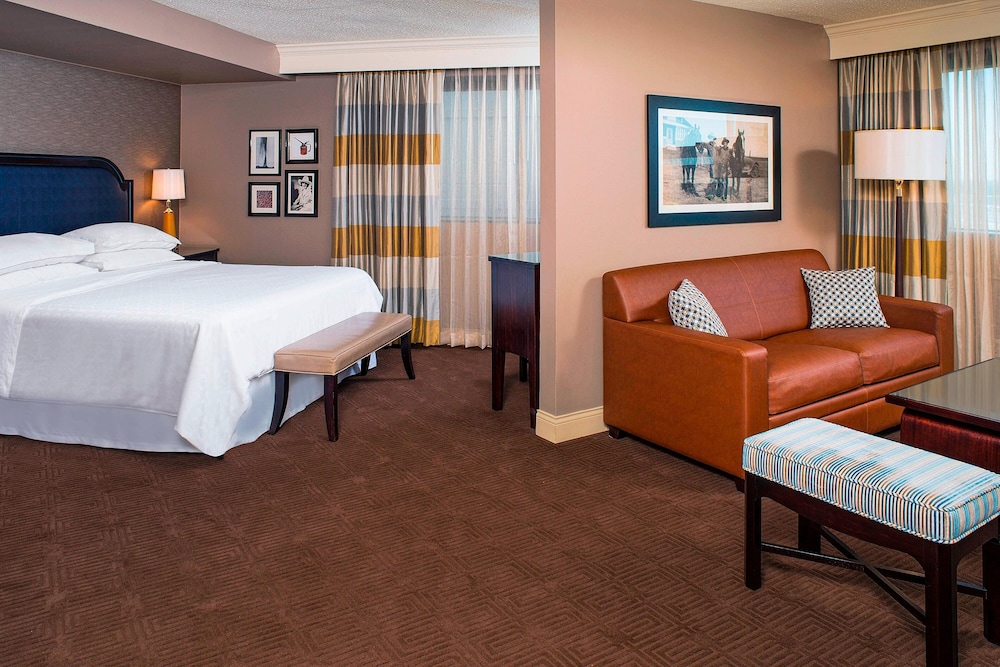 Sheraton North Houston at George Bush Intercontinental - photo 6