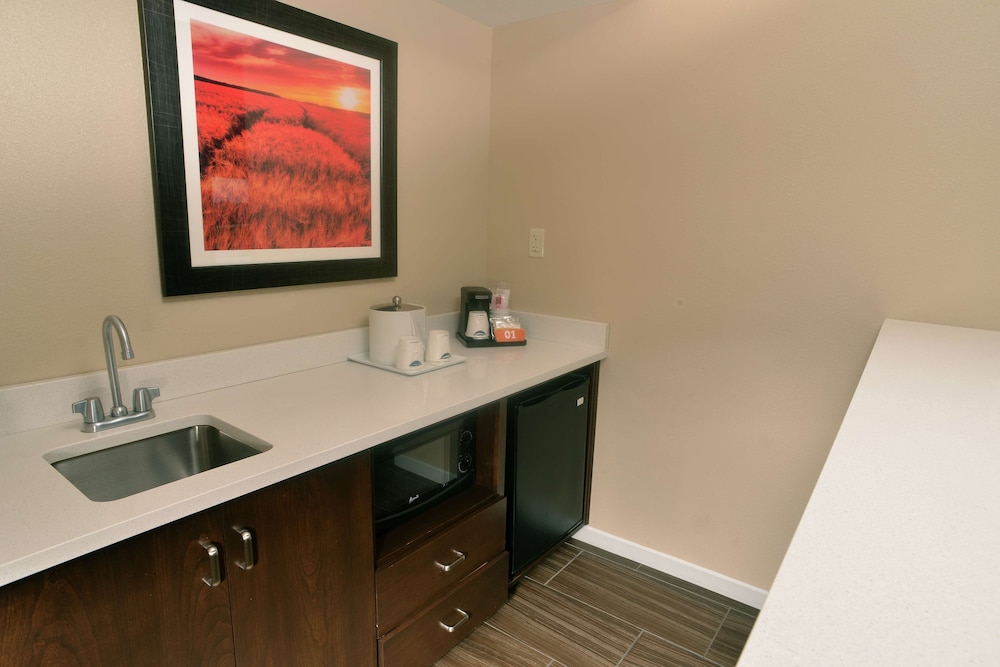 Hampton Inn Springfield Southeast - photo 18