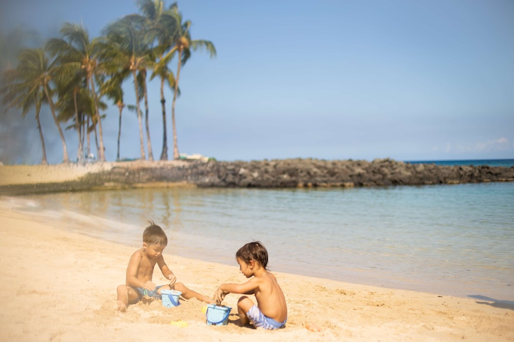 Fairmont Orchid - photo 161