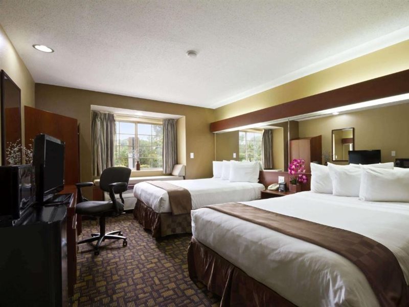 Microtel Inn & Suites by Wyndham Lithonia Stone Mountain - photo 8