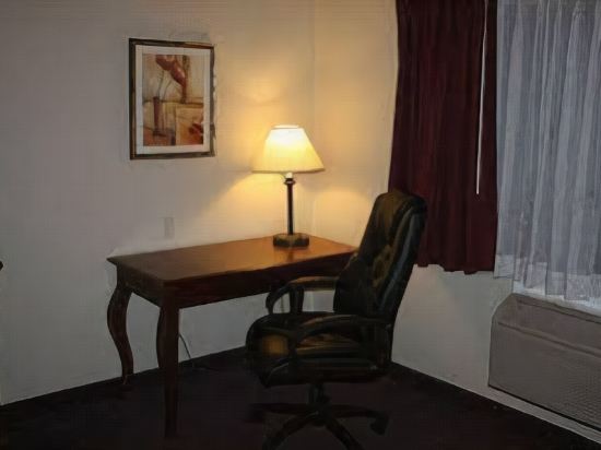 Saratoga Inn & Suites - photo 4