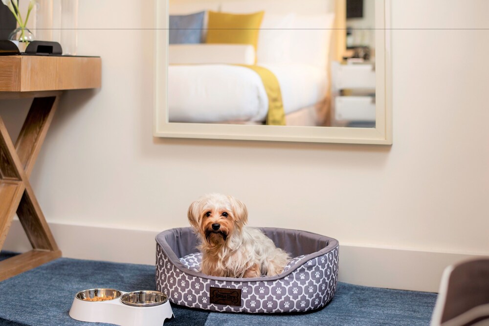 Kimpton Ashbel New York Park Avenue - photo 43