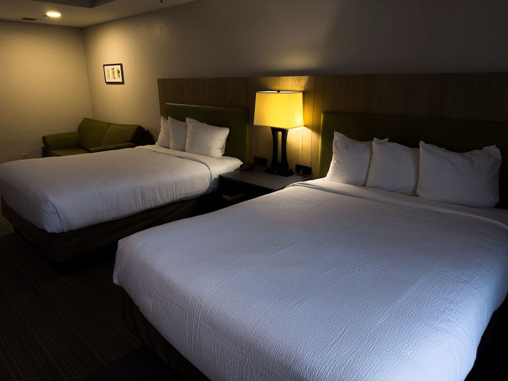 Radiant Inn & Suites - photo 3