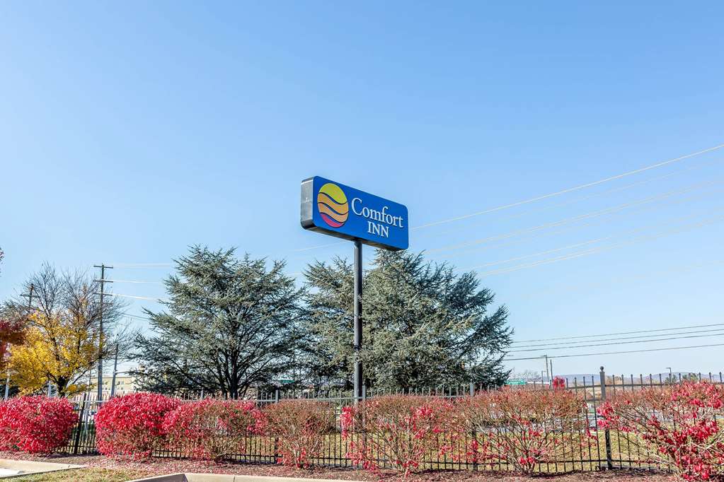 Comfort Inn Frederick Ballenger Creek - photo 6
