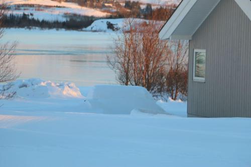 Paradise near Reykjavik w. Sauna Northern Lights