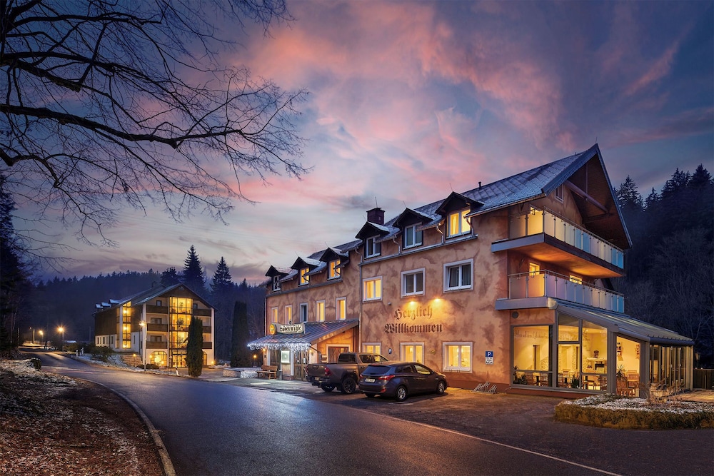 Hotel Ladenmühle - carbon neutral hotel in Altenberg
