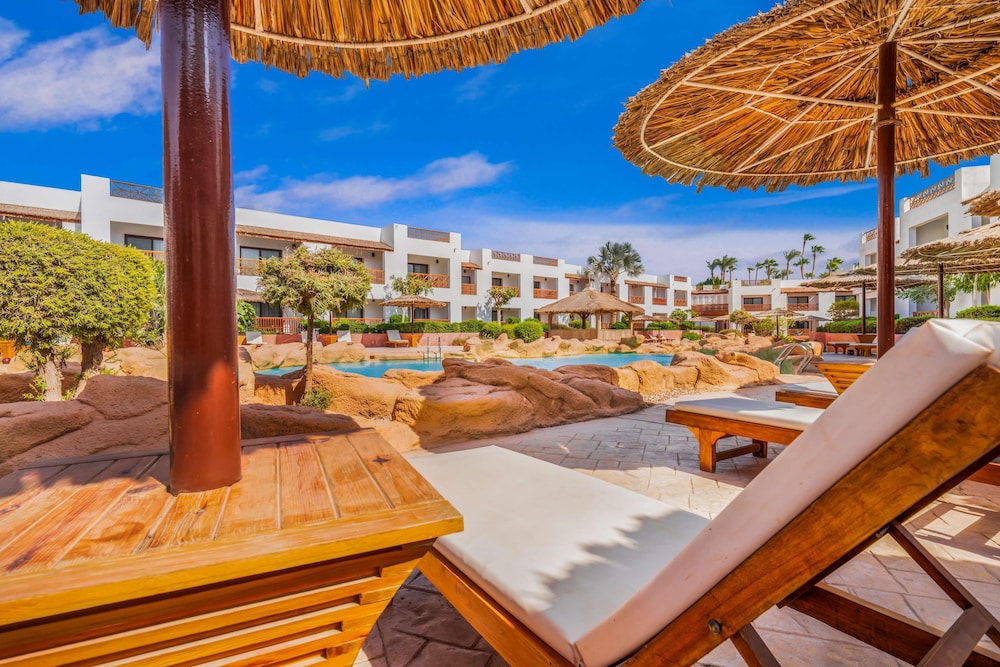 מרפסת / טרסה