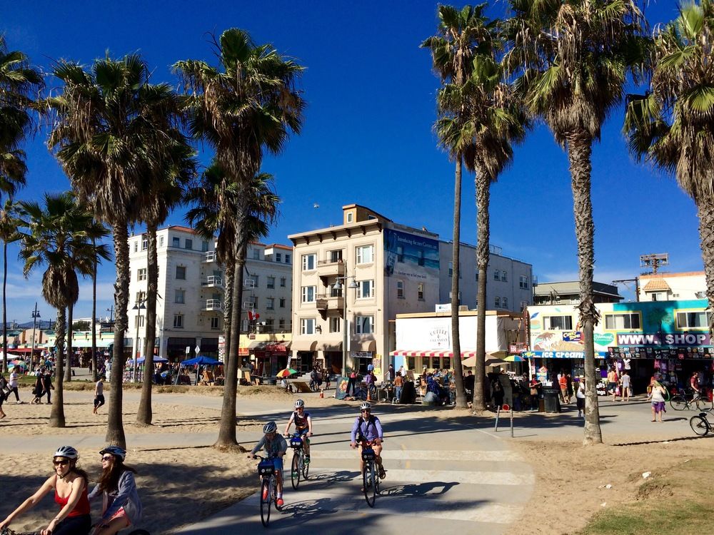 Venice Beach Suites & Hotel - photo 31