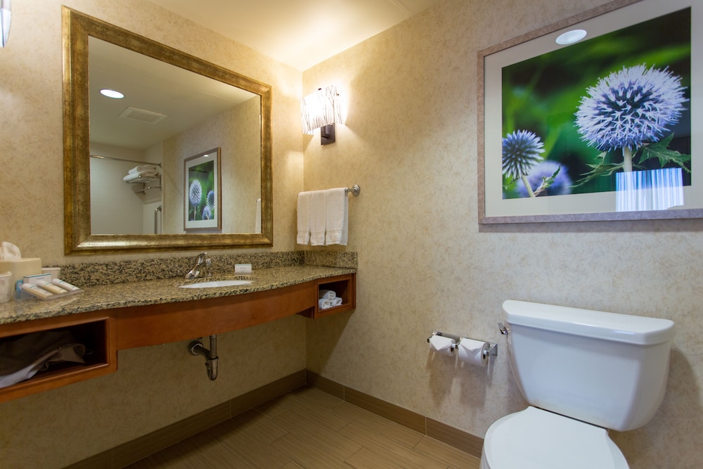 Hilton Garden Inn Cedar Falls - photo 9