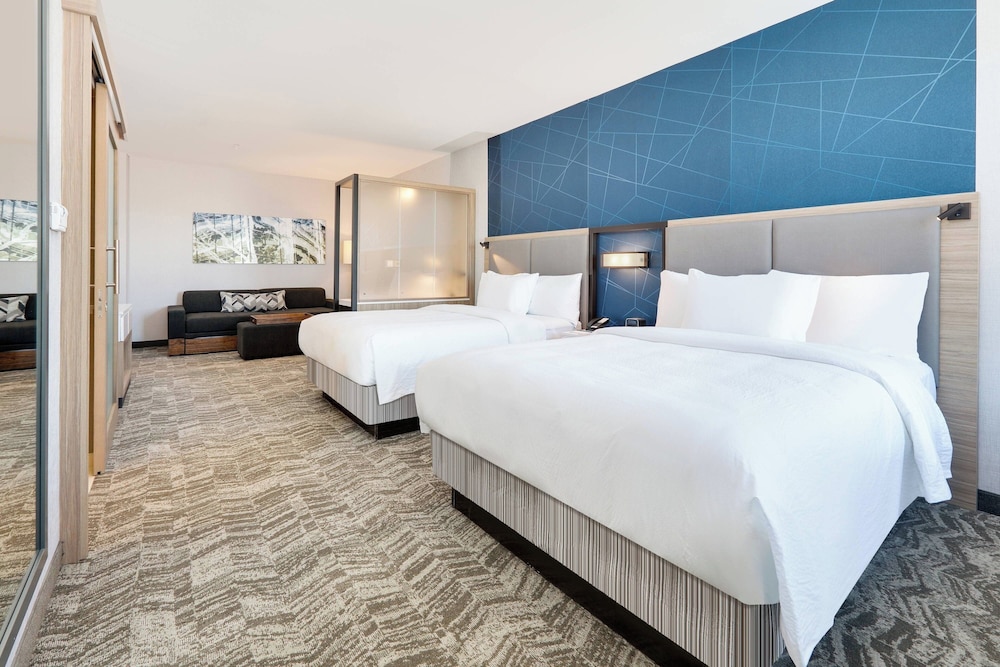 Springhill Suites Dallas Mansfield - photo 10
