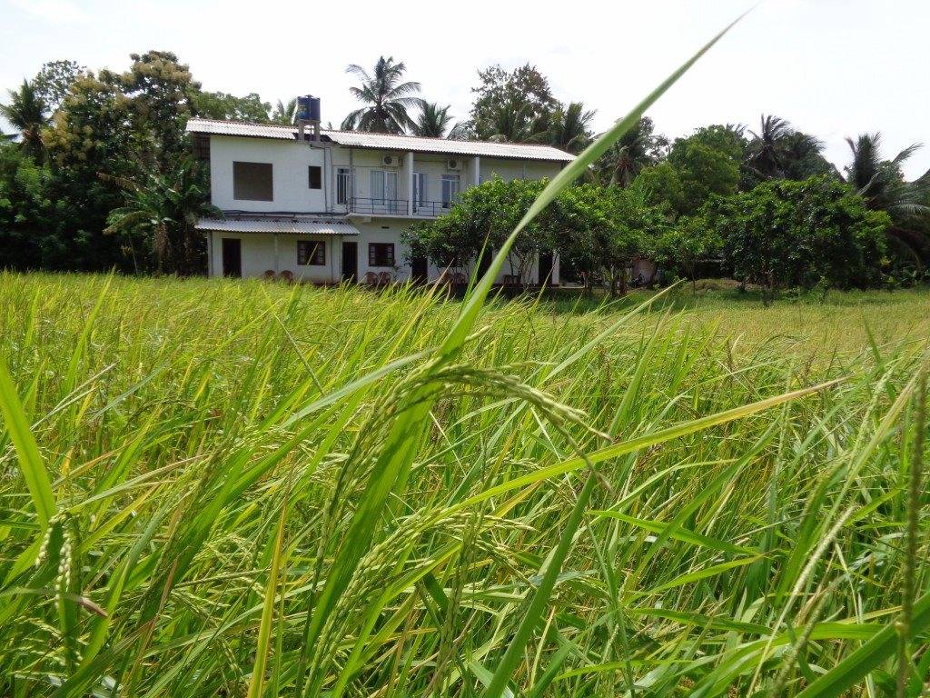 Samanala Rest in Polonnaruwa, Sri Lanka