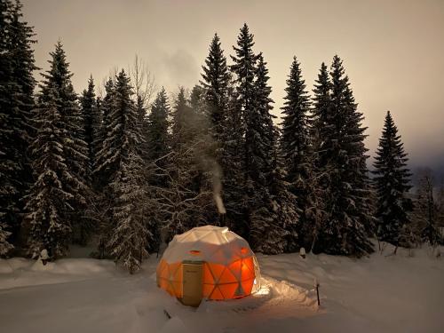 Dome Glamping with shared bathroom in Lillehammer, Norway