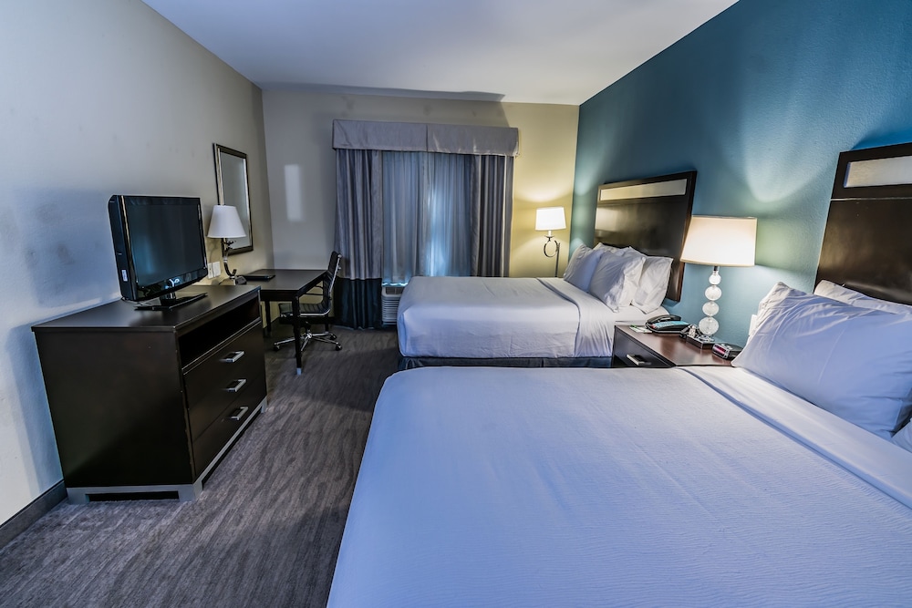 Holiday Inn Houston Webster by IHG - photo 20