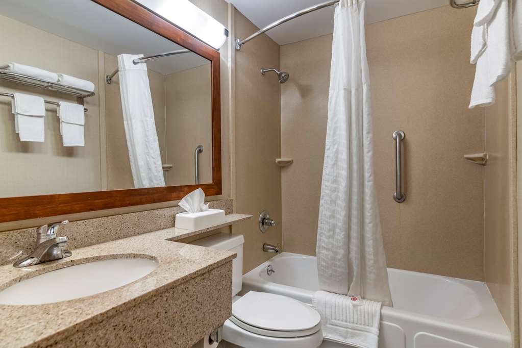Comfort Inn Glenmont Albany South - photo 16