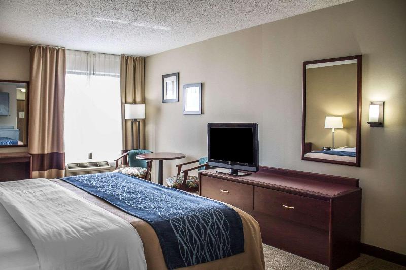 Comfort Inn - photo 29