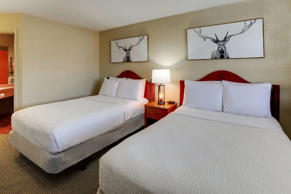 Stoney Creek Inn Galena - photo 12