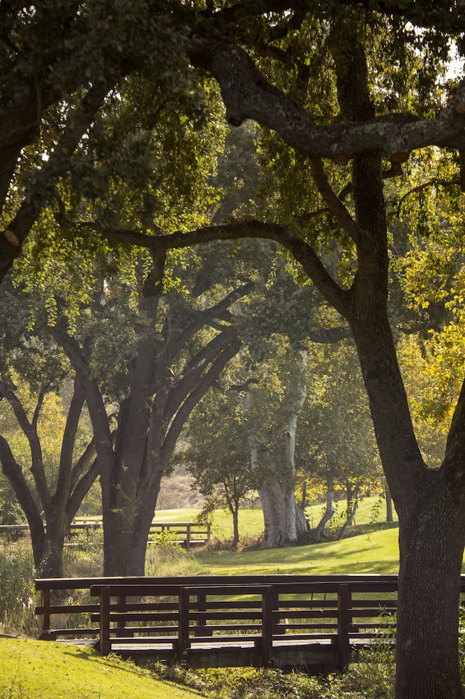 Rosewood Cordevalle - photo 45