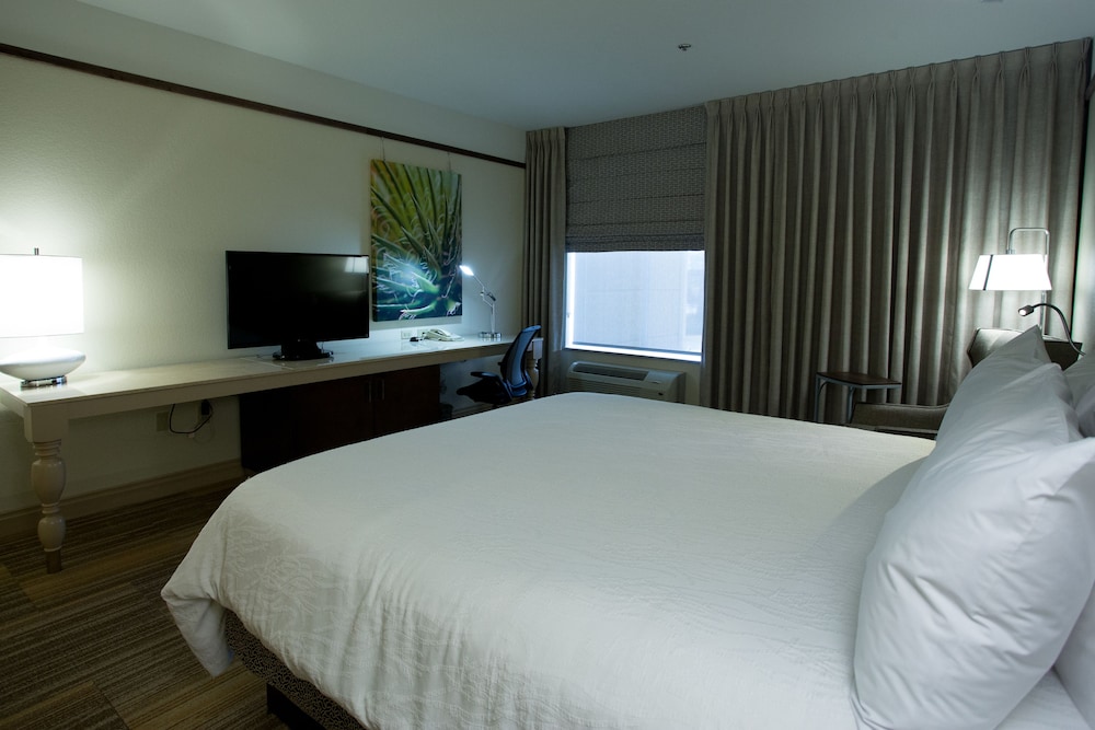 Hilton Garden Inn Bentonville Rogers - photo 8