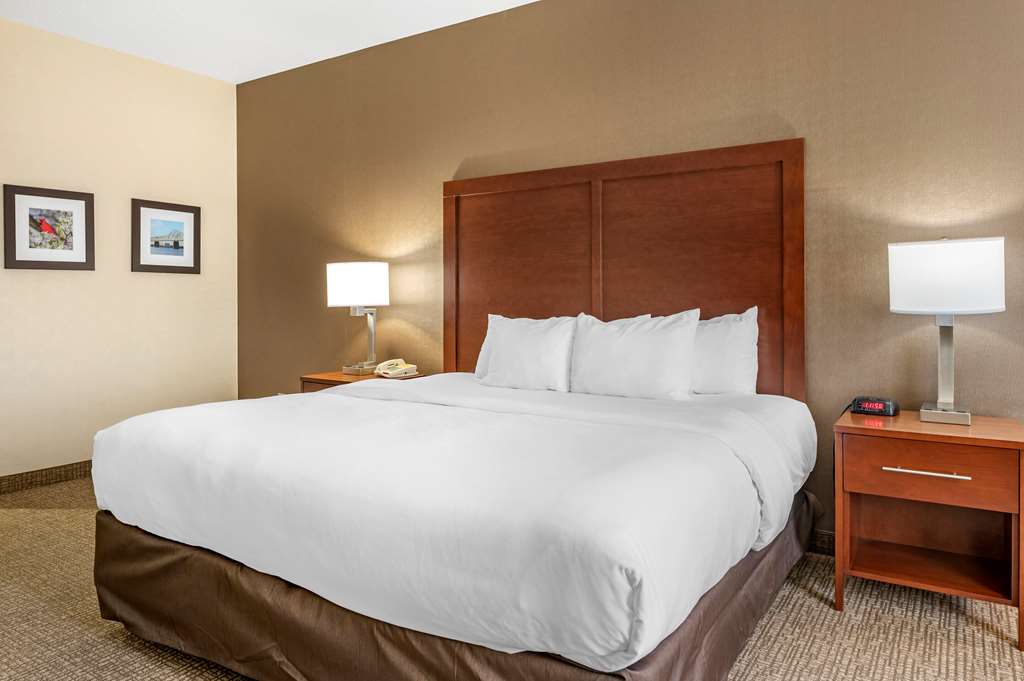 Comfort Inn Louisville Southwest - photo 5