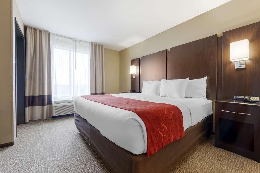 Comfort Suites and Conference Center - photo 11