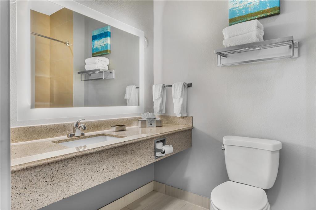 Best Western Plus Fort Worth Forest Hill Inn & Suites - photo 28